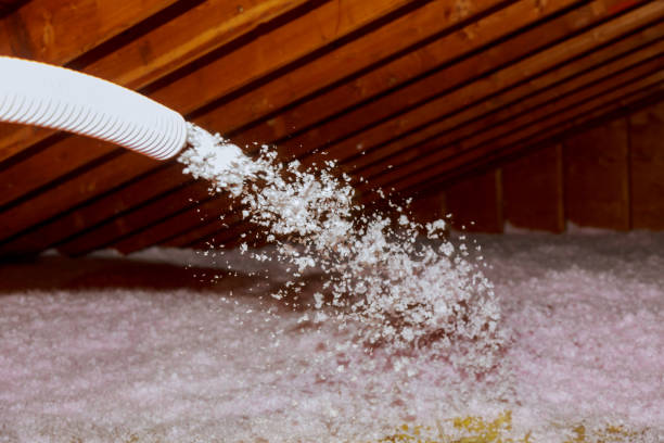 Best Fiberglass Insulation in Leonard, TX
