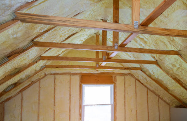 Best Insulation Maintenance and Repair in Leonard, TX