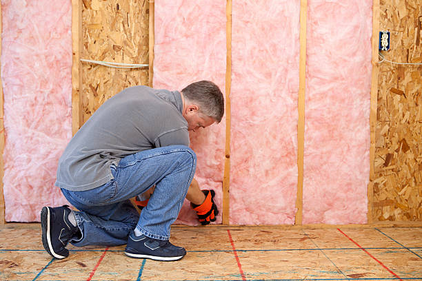 Best Residential Insulation in Leonard, TX