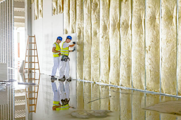 Best Eco-Friendly Insulation in Leonard, TX